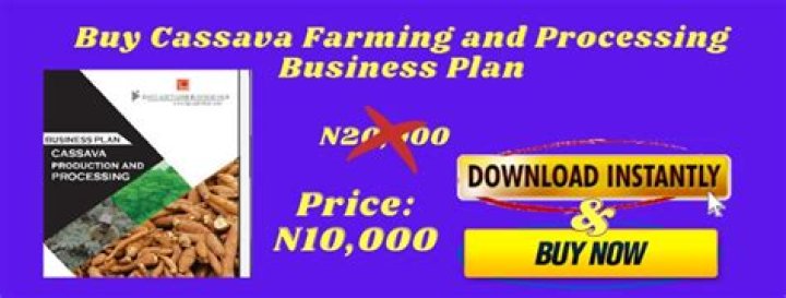 Cassava Farming Business Plan PDF: Grow Profitable Yields