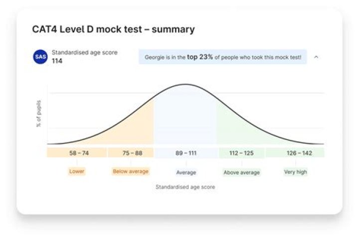 Complete Cat 4 Test PDF Download – Expert Cat Behavioral Assessment
