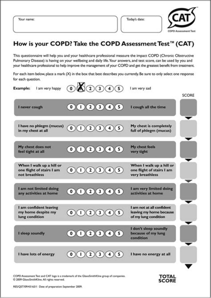 Complete Cat Assessment Test PDF for Accurate Pet Evaluation