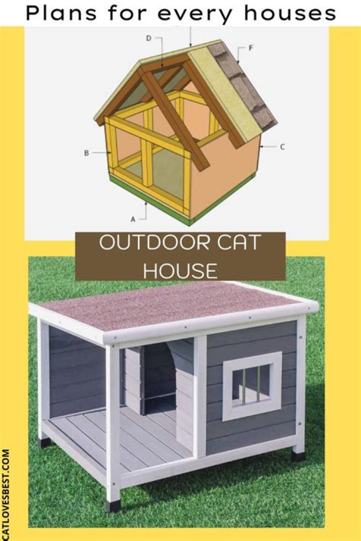 Cat House Plans PDF: Easy-to-Build DIY Cat Shelter