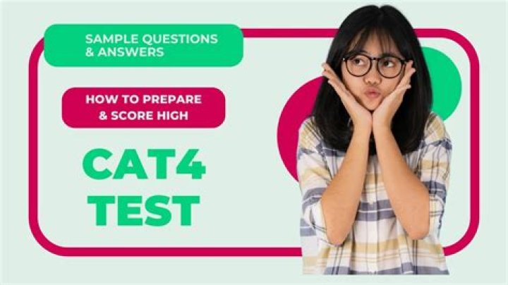 Free Online Cat Behavior Test – Instant PDF Results
