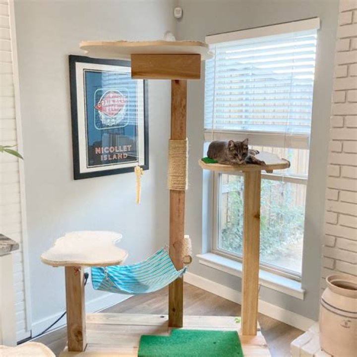 Free Cat Tree Plans PDF – Easy DIY Cat Furniture Plans