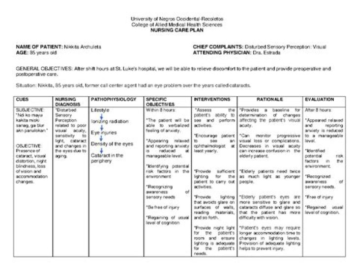 Comprehensive Cataract Nursing Care Plan PDF for Nurses
