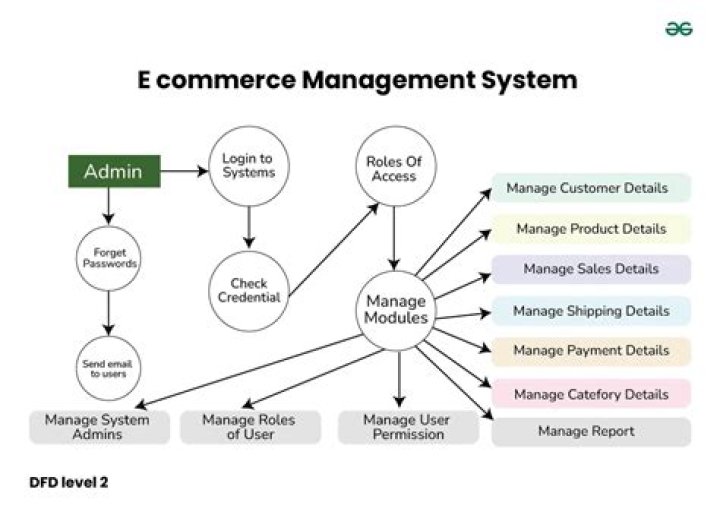 Master Category Management in E-Commerce: Expert PDF Guide