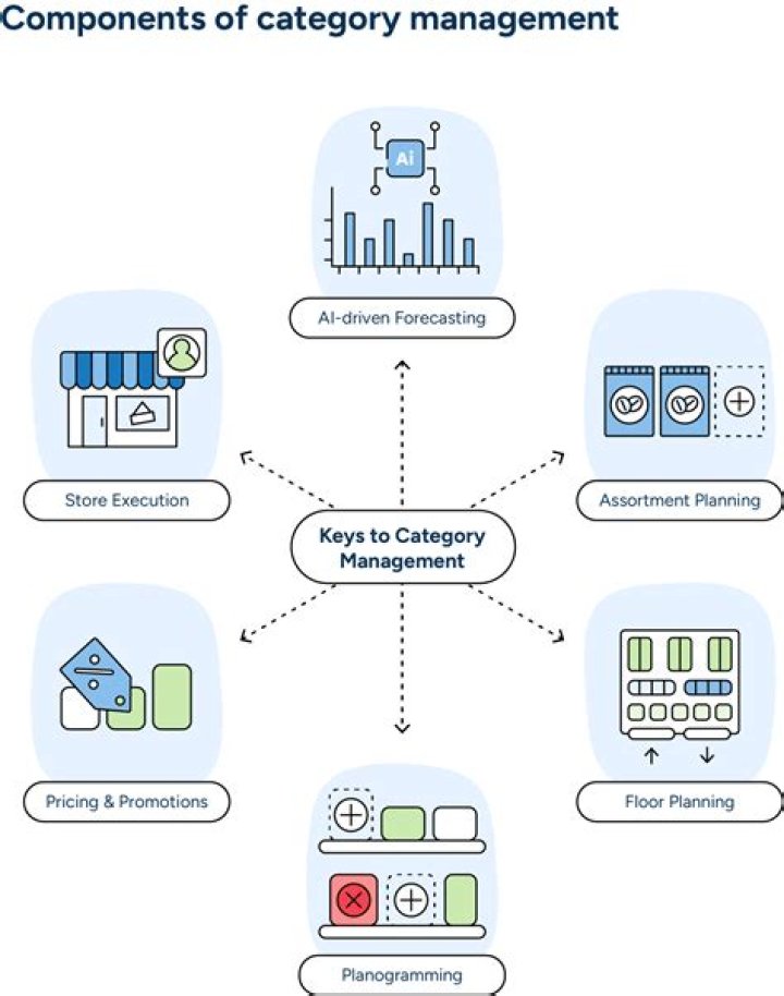 Master Category Management Strategy PDF: Boost Efficiency & Profit