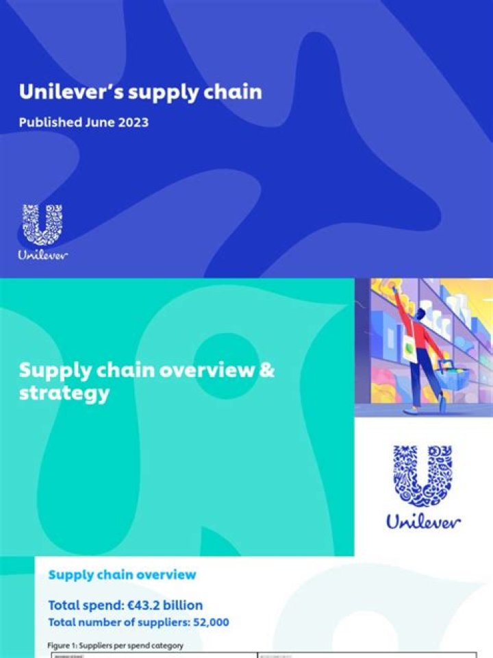 Category Management Insights for Unilever: Unlocking Efficiency with PDF Strategies