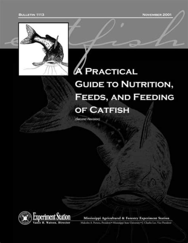 Master Catfish Fry Management: Essential PDF Guide