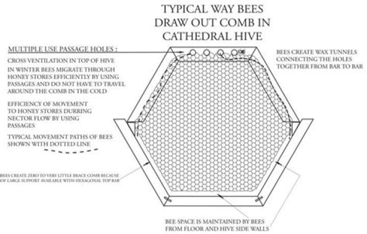 Cathedral Hive Plans PDF: Detailed Architectural Blueprints