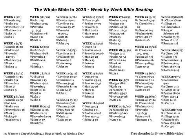 Catholic Bible Reading Plan 2023: Daily PDF Guide