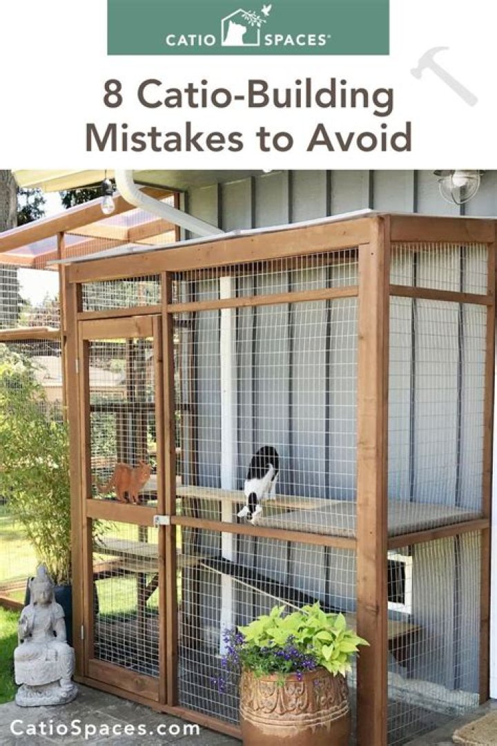 Free Catio Plans PDF: Build Your Outdoor Cat Enclosure Now