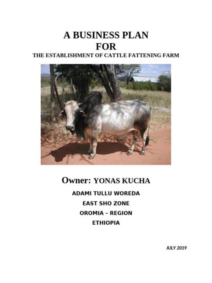Comprehensive Cattle Fattening Business Plan PDF for Profitable Livestock Growth