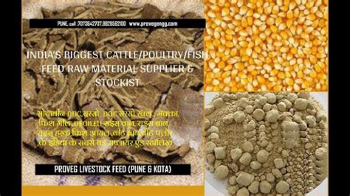 Cattle Feed Raw Materials List PDF: Essential Ingredients & Sourcing Guide