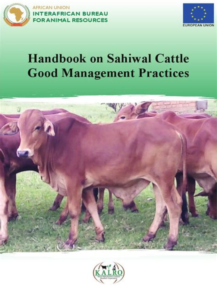 Cattle Management Handbook PDF: Expert Guide for Farmers