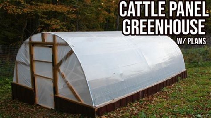 Free Cattle Panel Greenhouse Plans PDF – Grow Year-Round
