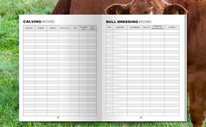 Comprehensive Cattle Ranch Management PDF Guide
