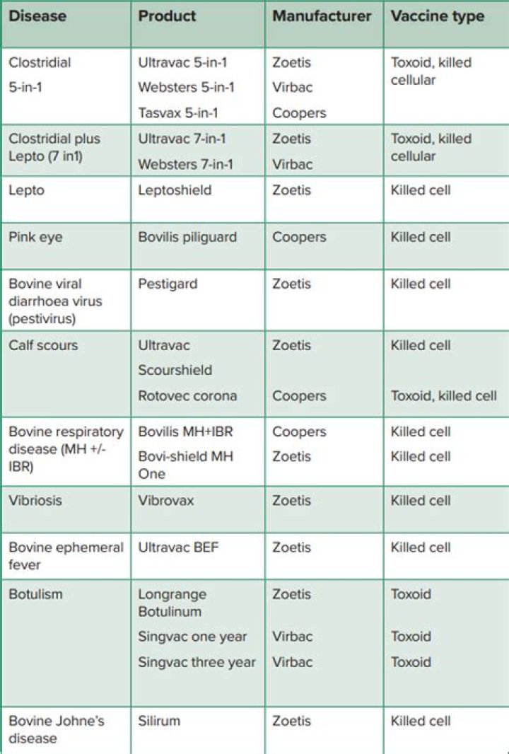 Complete Cattle Vaccines List PDF for Optimal Livestock Health