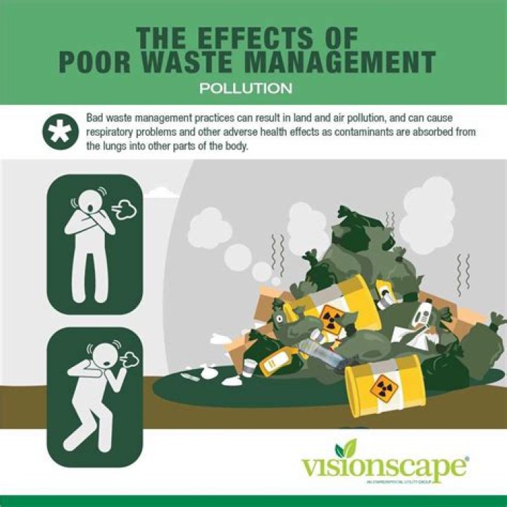 Causes of Poor Waste Management PDF: Causes & Solutions