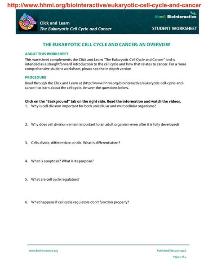 Cell Cycle and Cancer Worksheet PDF: Study Guide & Practice Exercises