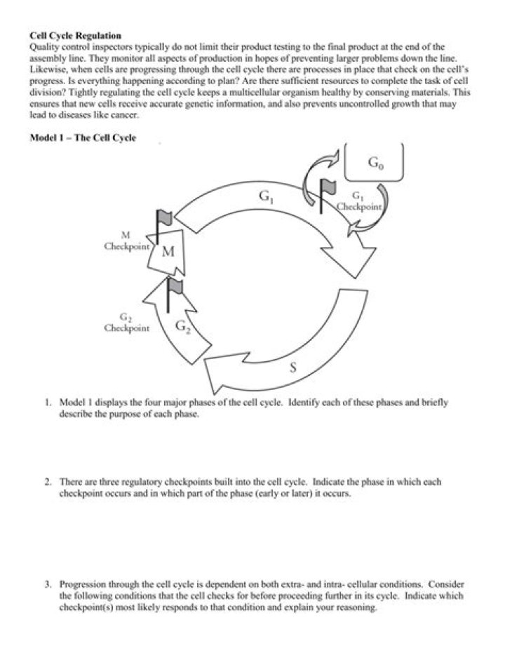 Cell Cycle Regulation: Pogil Answers PDF – Essential Study Guide