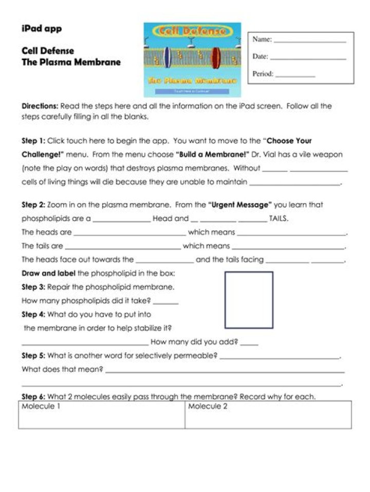 Cell Defense Mechanisms: Plasma Membrane Answer Key PDF