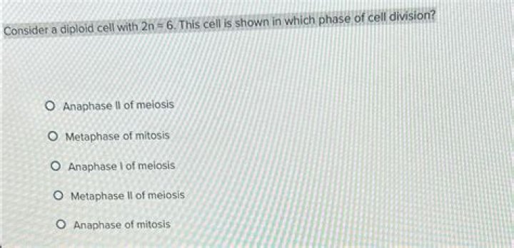 Cell Division Multiple Choice Questions & Answers PDF: Test Your Knowledge