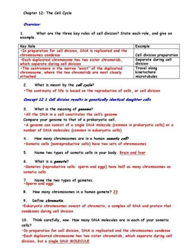 Cell Division Questions & Answers PDF: Expert Answers for Students