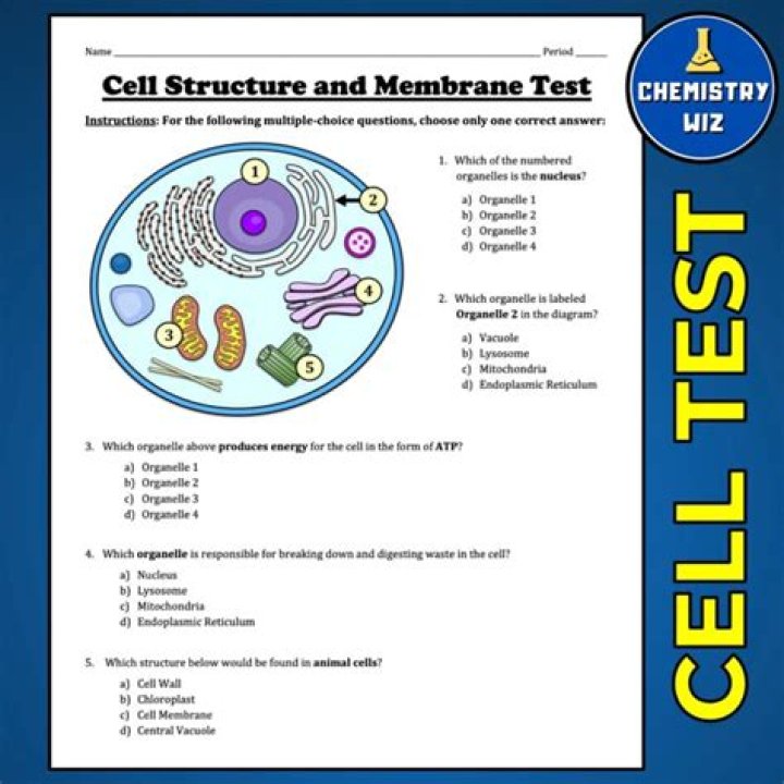 Cell Membrane Test PDF: Accurate Diagnostic Results & Lab Insights