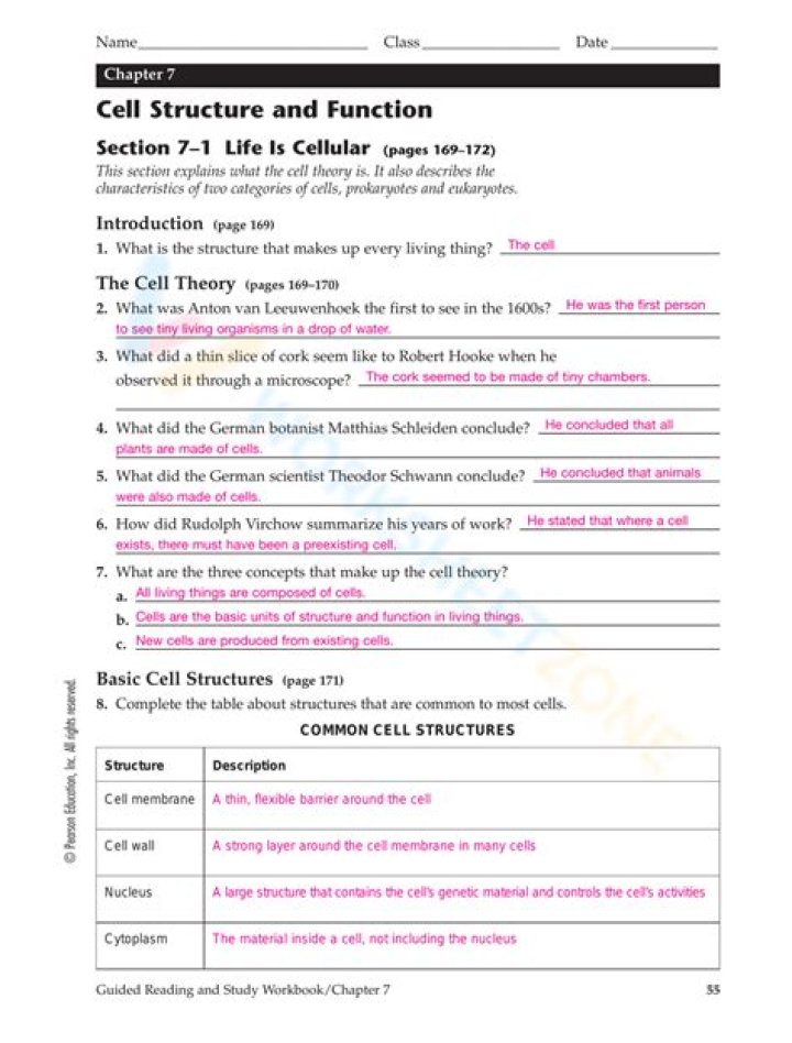 Cell Structure and Function PDF Answers: Complete Guide