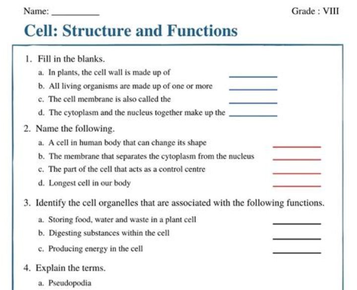 Cell Structure and Functions Class 8: Questions & Answers PDF