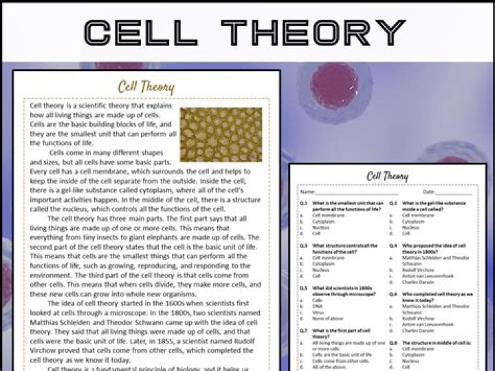 Cell Theory Reading Comprehension Worksheet PDF – Instant Download