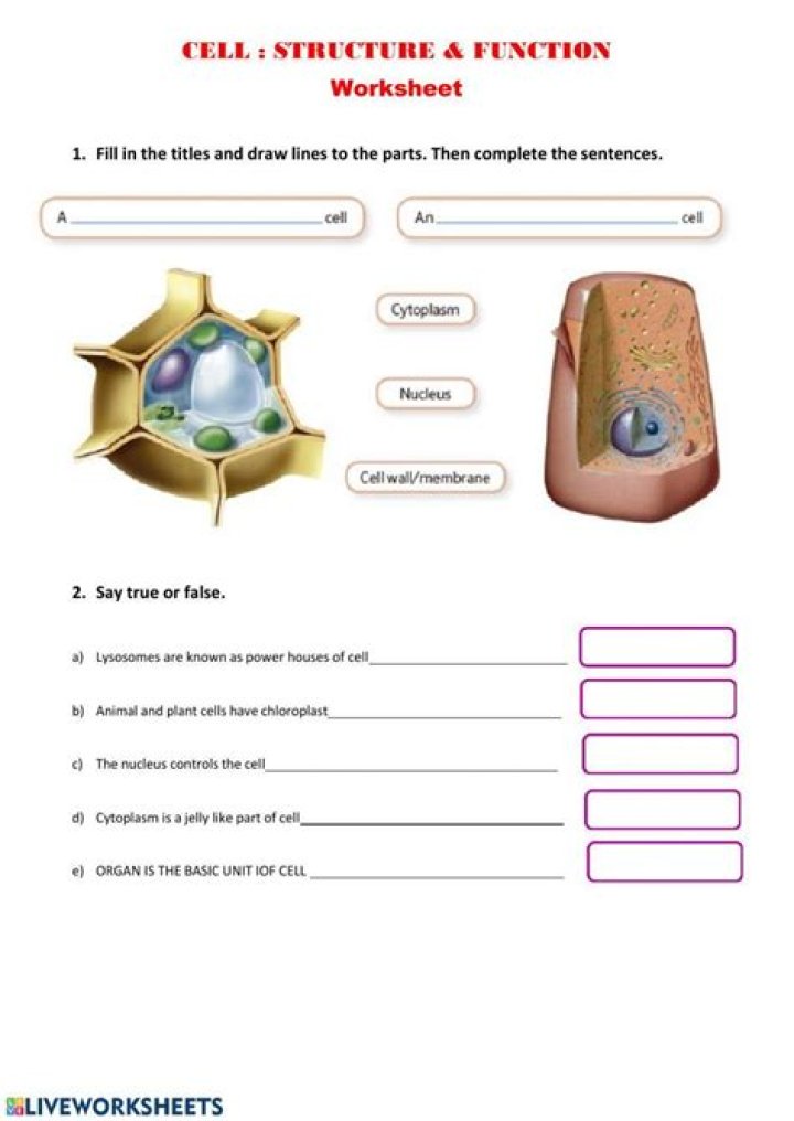 Free Cell Worksheets for Middle School – PDF Download