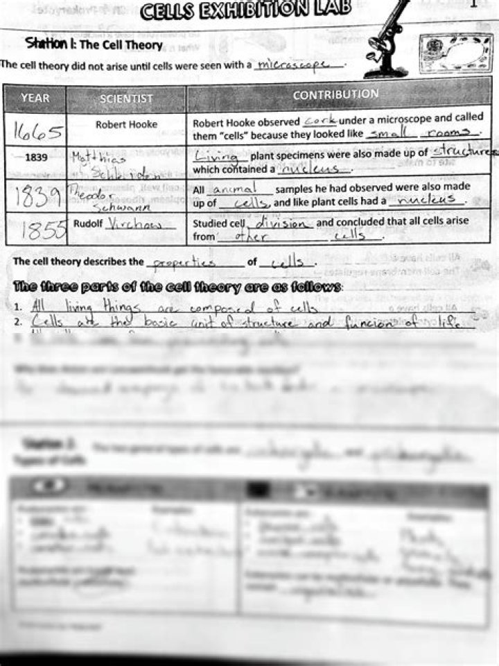 Cells Exhibition Lab Answer Key PDF – Full Solution Guide