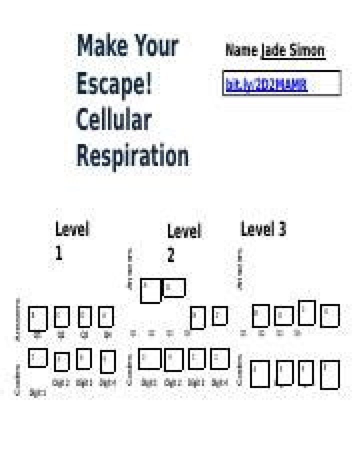 Cellular Respiration Escape Room Answer Key PDF – Solve & Succeed