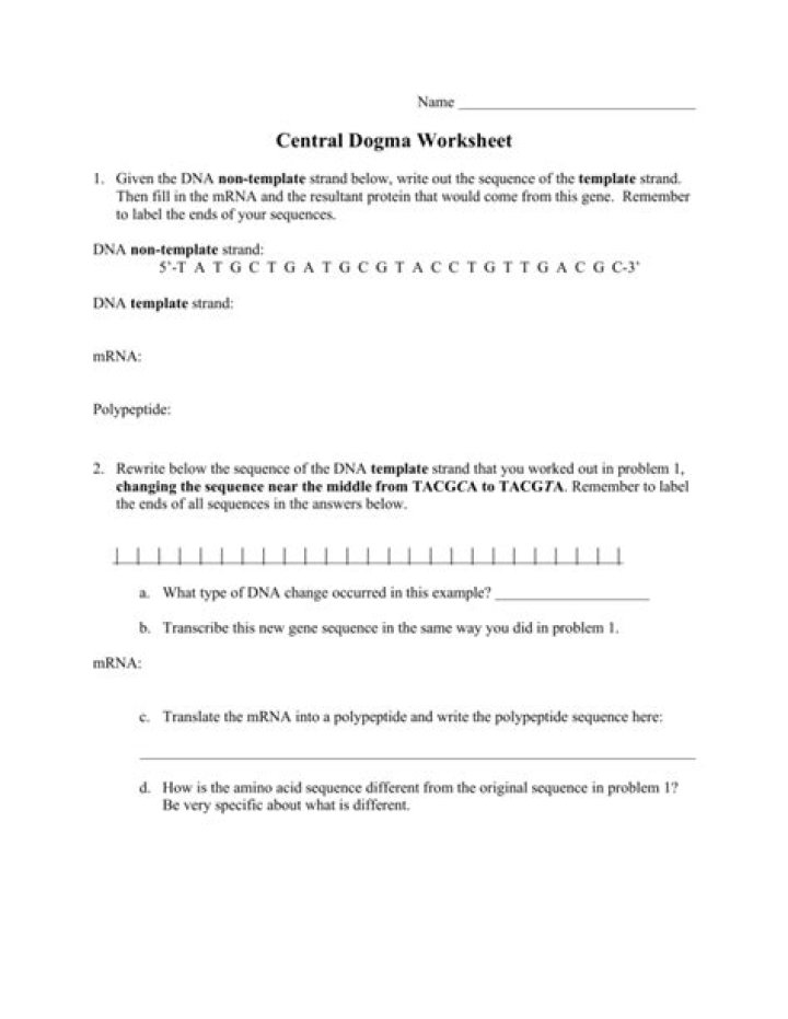 Central Dogma and Genetic Medicine Worksheet Answer Key PDF