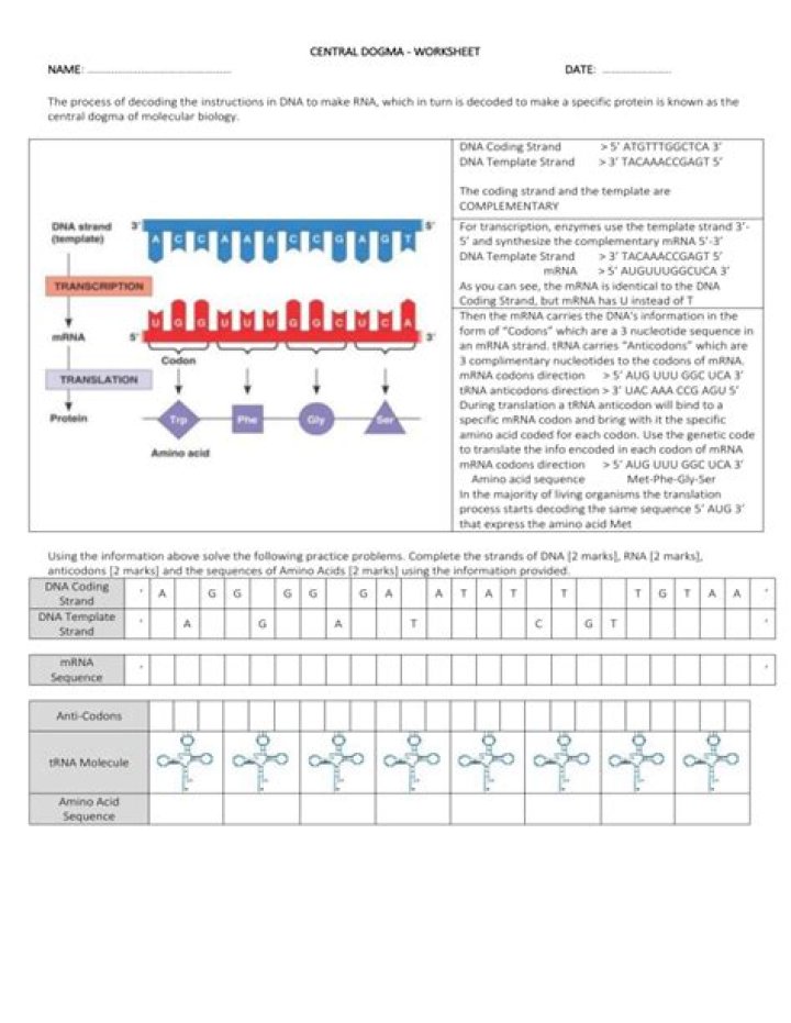 Central Dogma Questions & Answers PDF: Expert Guide to Biology Fundamentals