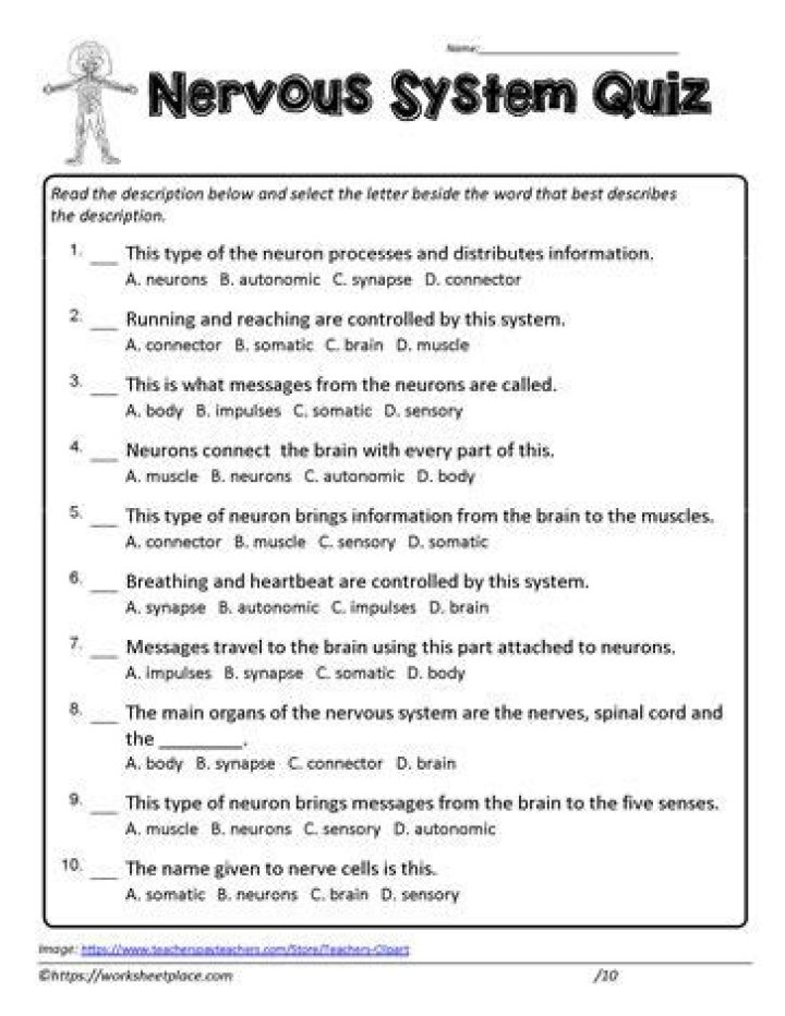 Central Nervous System Questions & Answers PDF – Expert Guide