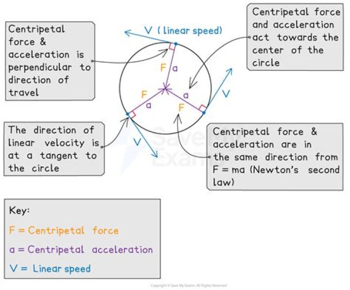 Centripetal Force: Essential Questions & Answers PDF