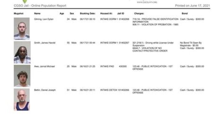 Cerro Gordo County Jail Population List PDF: Updated 2024 Data