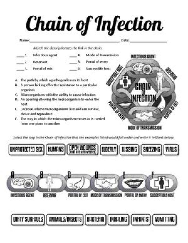 Chain of Infection Worksheet Answer Key PDF – Free Download