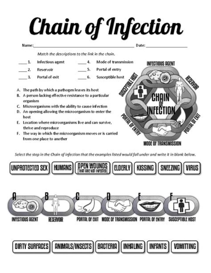 Chain of Infection Worksheet PDF – Free Download for Healthcare Training