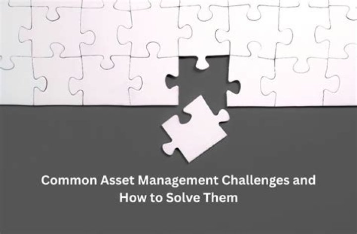 Overcoming the Challenges of Asset Management: A Comprehensive PDF Guide