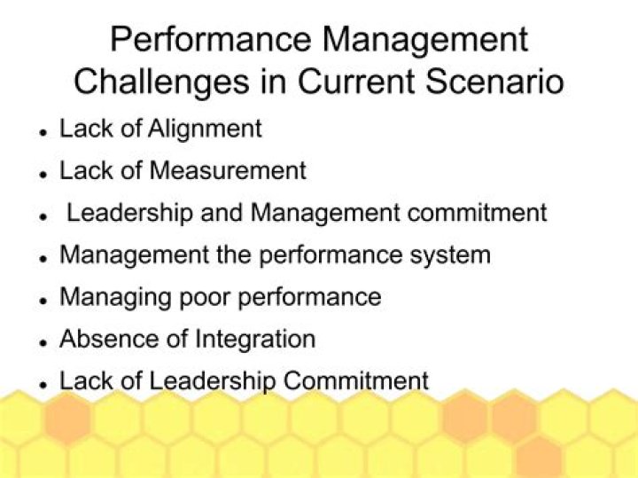 Challenges of Performance Management in the Public Sector: A Critical PDF Analysis