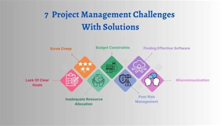 Overcoming the Challenges of Project Management in the Public Sector: A PDF Guide