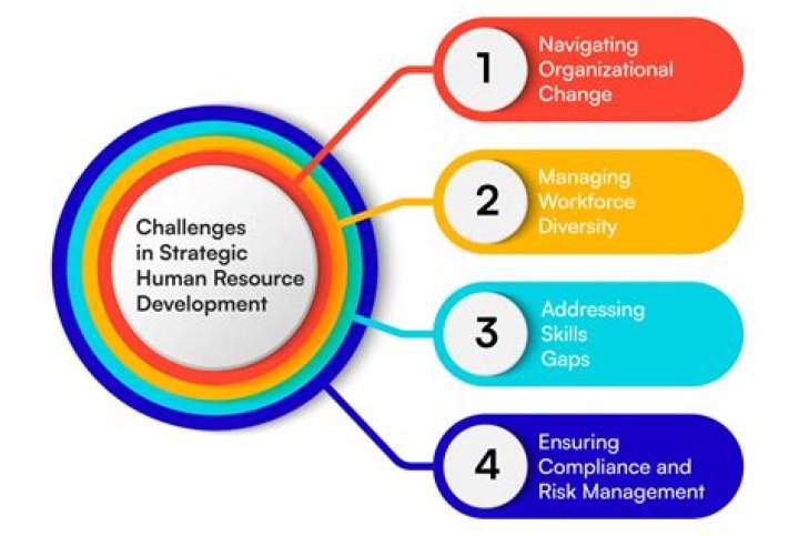 Challenges of Strategic Management Practice in Ethiopia: Key Insights from the PDF