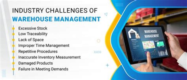Challenges of Warehouse Management: Expert PDF Insights
