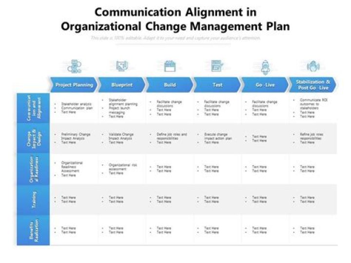 Effective Change Management & Communication Plan PDF