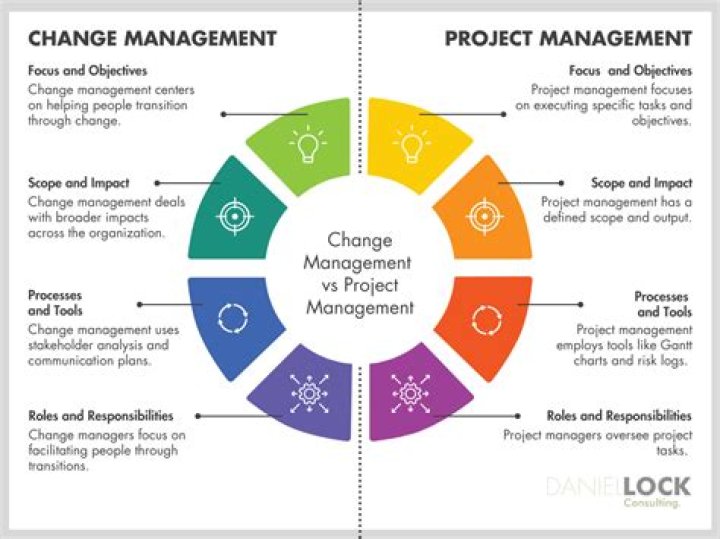 Mastering Change Management and Project Management: Essential PDF Guide