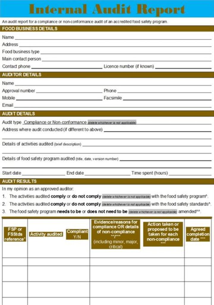 Change Management Internal Audit Report PDF – Essential Compliance & Risk Assessment Guide