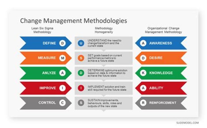 Comprehensive Guide to Change Management Methodologies PDF