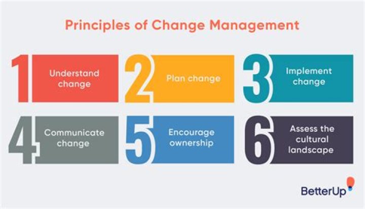 Mastering Change Management: Essential Principles and Methodologies PDF